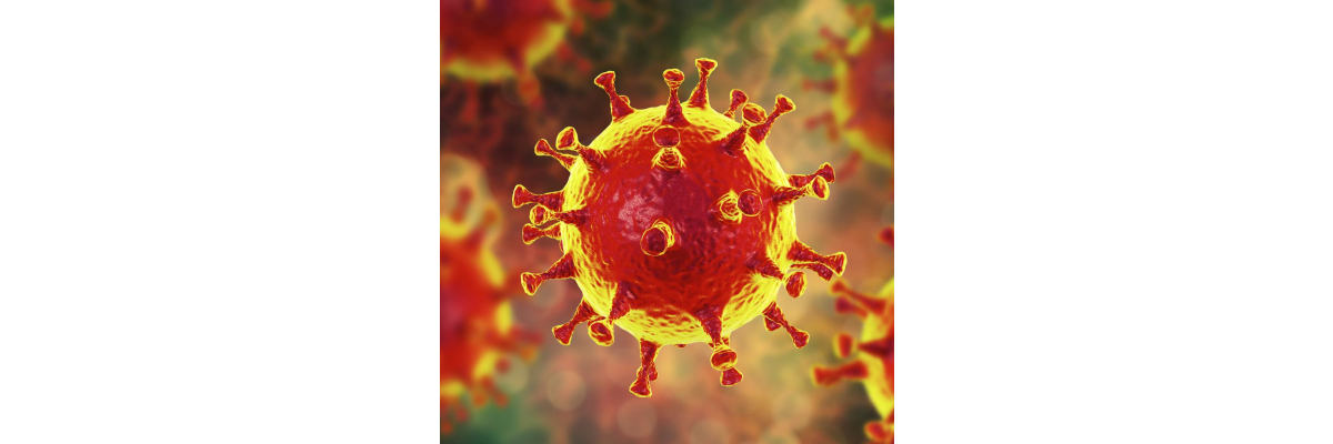 Online-Versand aktuell vom Corona Virus nicht beeinträchtigt / Ladengeschäft bis ca 30.03.2020 geschlossen - Online-Versand aktuell vom Corona Virus nicht beeinträchtigt