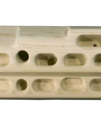 Beastmaker - 2000 Series Trainingsboard