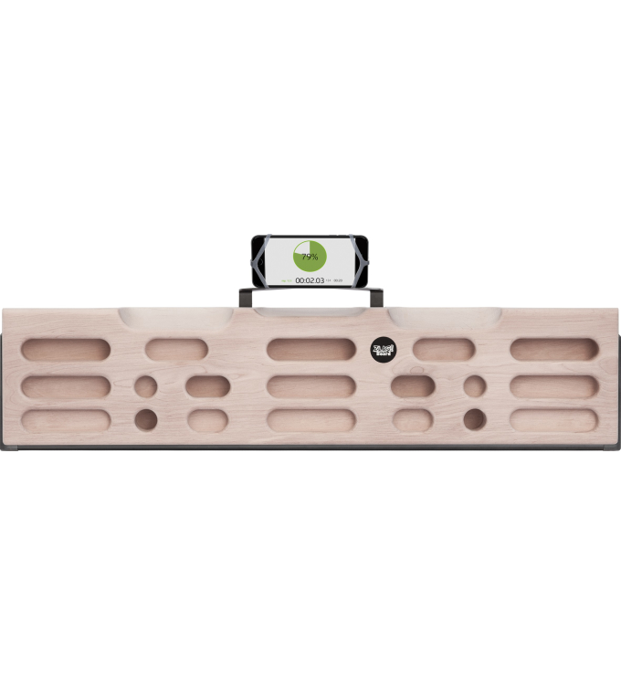 Vertical Life - Zlagboard Pro