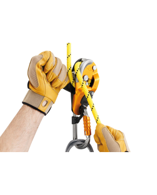 Petzl - RIG schwarz
