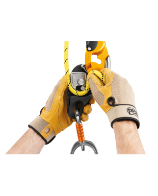 Petzl - RIG schwarz