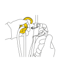 Petzl - Rollclip Z