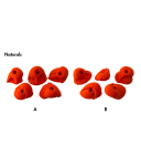 Metolius - Mini Jug 5er Pack Naturals