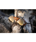 Julbo - Vermont Classic SP 3 historisch braun