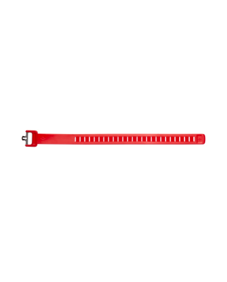 Black Diamond - Ski Strap 38cm