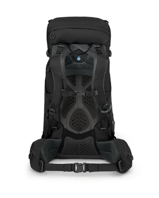 Osprey - Kestrel 38