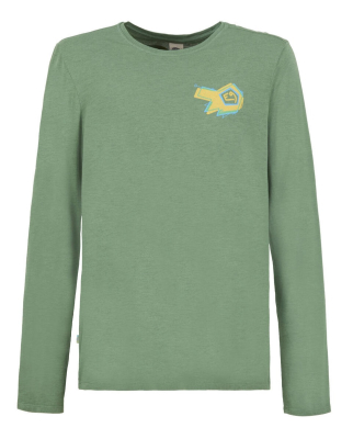 E9 -  Brasil pinewood