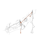 Petzl - Dual Evolv Adjust