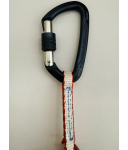 Raed Climbing - ZAED Pro Bremswiderstand inkl. Schraubkarabiner