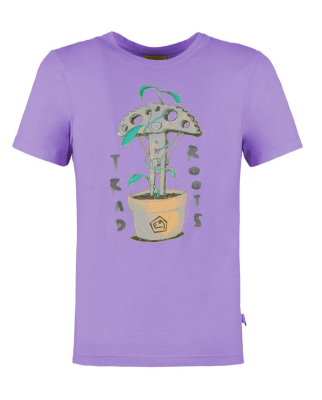 E9 - B Troots wisteria