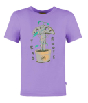E9 - B Troots wisteria