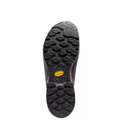 La Sportiva - TX4 EVO Womens GTX carbon/springtime